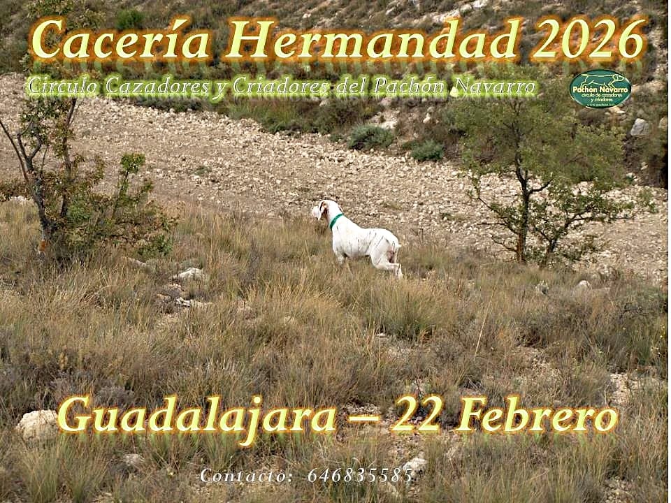 WhatsApp Image 2026 01 26 at 20.15.52